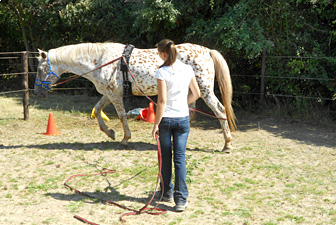 Doppellongen-Training Kerpen 01