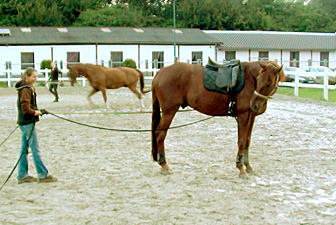 Doppellongen-Training Kerpen 02
