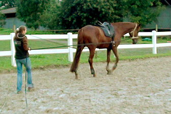 Doppellongen-Training Kerpen 03