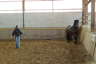 Doppellongen-Training Kerpen 05