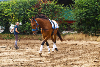 Doppellongen-Training Kerpen 08