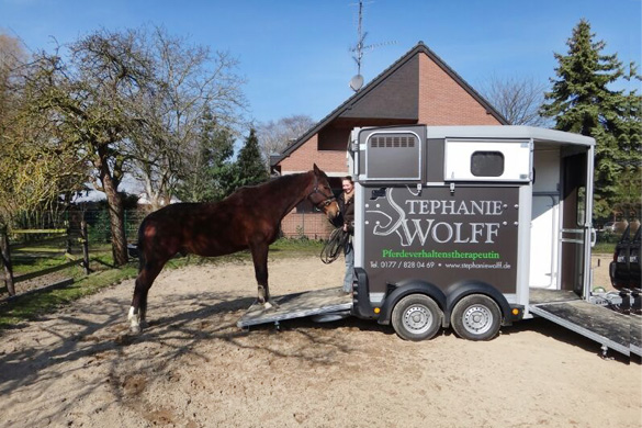 Verladetraining Kerpen Stephanie Wolff
