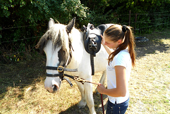 Jungpferdeausbildung Kerpen 03