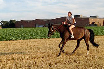 Pferdeverhaltenstherapeutin Stephanie Wolff, Kerpen 02