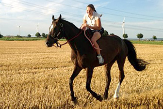 Pferdeverhaltenstherapeutin Stephanie Wolff, Kerpen 03