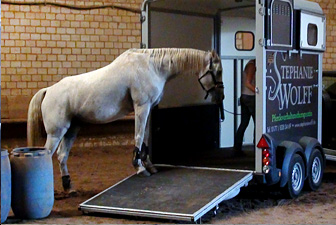 Verladetraining Kerpen 03
